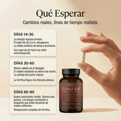 Soporte de Ferritina FerraVital™