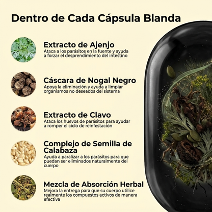Elimine Parásitos Y Larvas Ocultas En Solo 14 Días Con Clavos De Olor De Ajenjo Y Nogal Negro