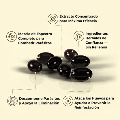 Elimine Parásitos Y Larvas Ocultas En Solo 14 Días Con Clavos De Olor De Ajenjo Y Nogal Negro