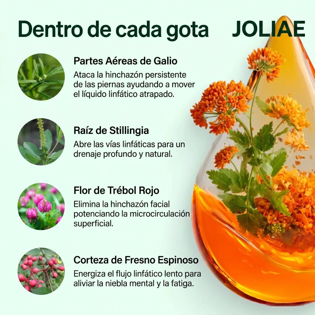Gotas De Drenaje Linfático