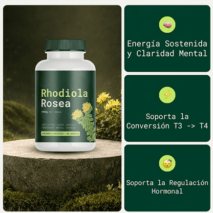 Rhodiola Rosea - Adaptógeno Natural Hecho en Europa [400mg]