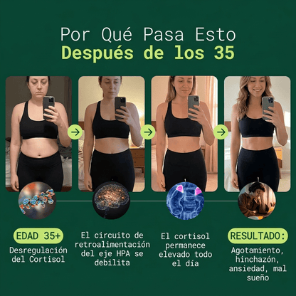 Rhodiola Rosea - Adaptógeno Natural Hecho en Europa [400mg]