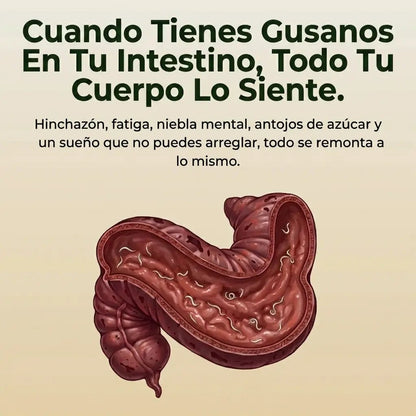 Paquete Desintoxicante De Aceite De Ricino