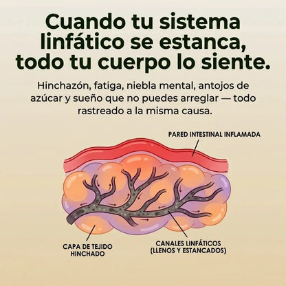 Paquete Desintoxicante De Aceite De Ricino