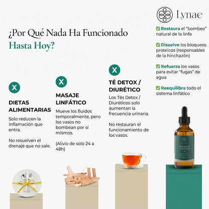 DRENANTE LINFÁTICO