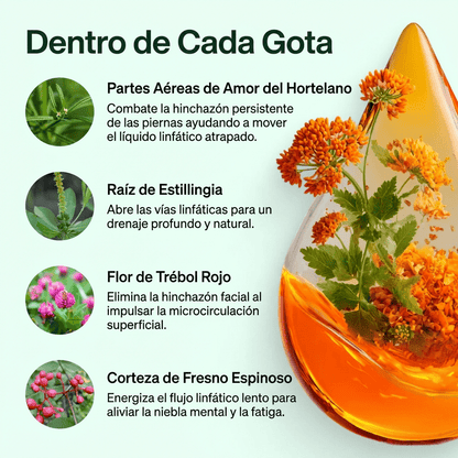 Sentirse más ligera y con menos hinchazón en 16 días o menos