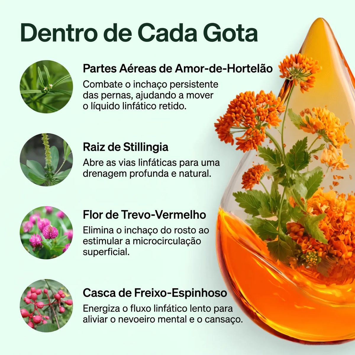 Joliae - ingredientes em cada gota