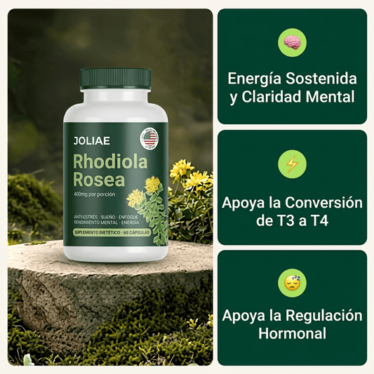 Rhodiola Rosea - Adaptógeno Natural Hecho en Europa [400mg]