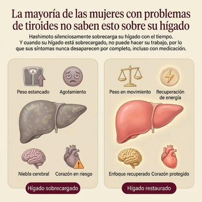 Equilibrio Tiroideo