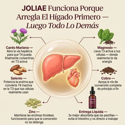 Equilibrio Tiroideo